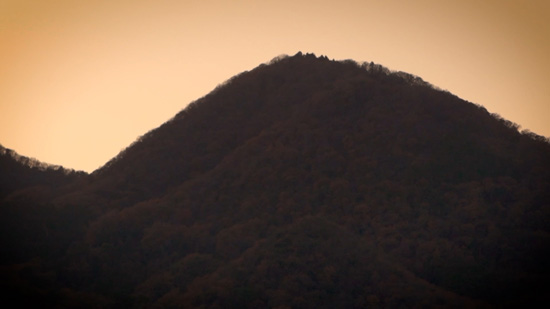 大伯皇女が残した和歌