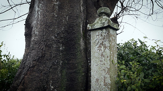 明恵上人生誕の地