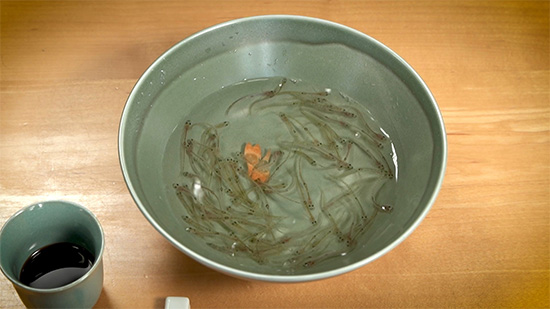 シロウオの踊り食い