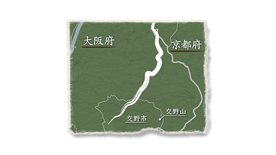 山根街道