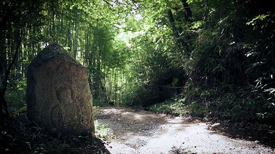 交野山