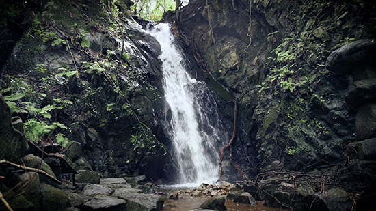 交野山