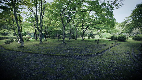 山家城址