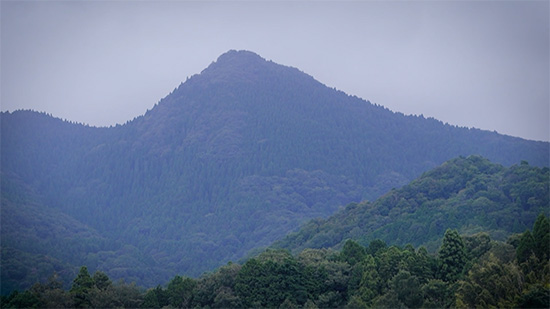弥仙山
