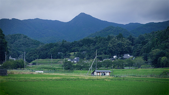 弥仙山