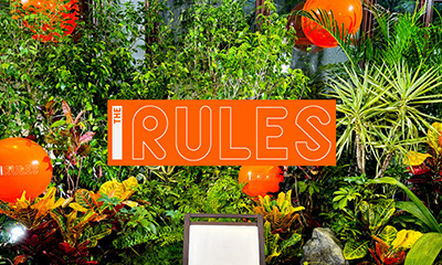 THE RULES