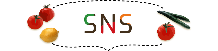 SNS